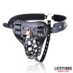 Cinturón de Castidad Masculino con Candado Ajustable