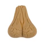 Growing Testicle 4×3 cm
