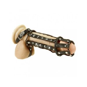 Arnés Completo para Pene y Testículos 11 - Erotiks | Tienda erótica online