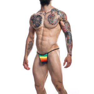 C4M12 Briefkini Arcoiris Rainbow 5 Calzoncillo Brief Pudding Talla S - Erotiks | Tienda erótica online