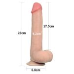 Dildo Sliding 9