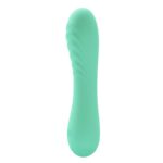 Alexisrose Vibrador Full Silicone