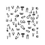 Posavasos Cuadrados Penes 10 und