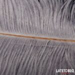 Pluma Estimuladora 44 cm