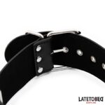Collar y Esposas Ajustables