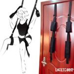 Restricciones para la Puerta