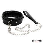 Collar con Correa Acolchado