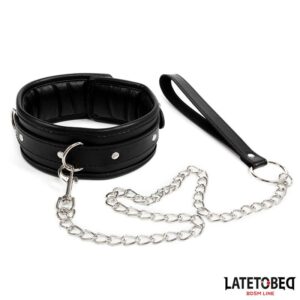 Collar con Correa Acolchado