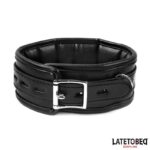 Collar con Correa Acolchado