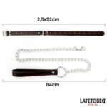 Collar con Correa 52 cm