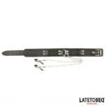 Collar con Pinzas para los Pezones