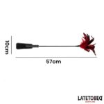 Pala con Plumas 2 en 1