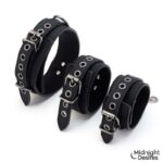 Set de Restricciones con Collar y Esposas