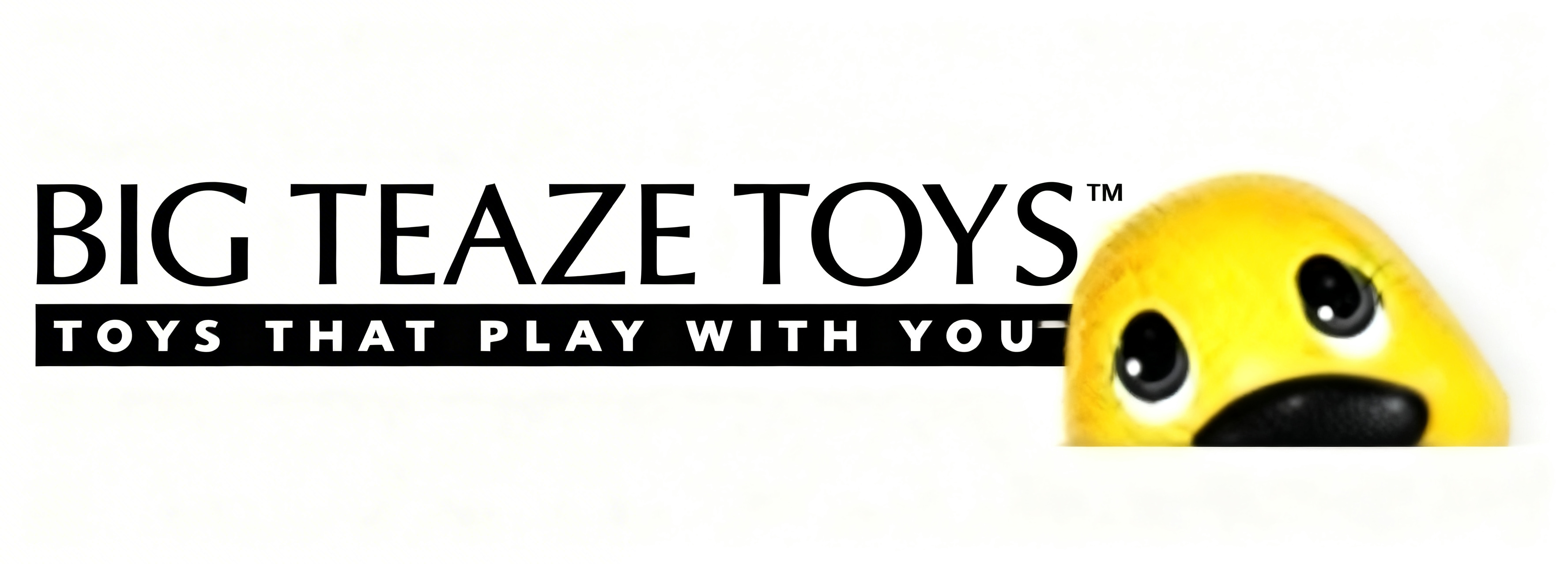 BIG TEAZE TOYS