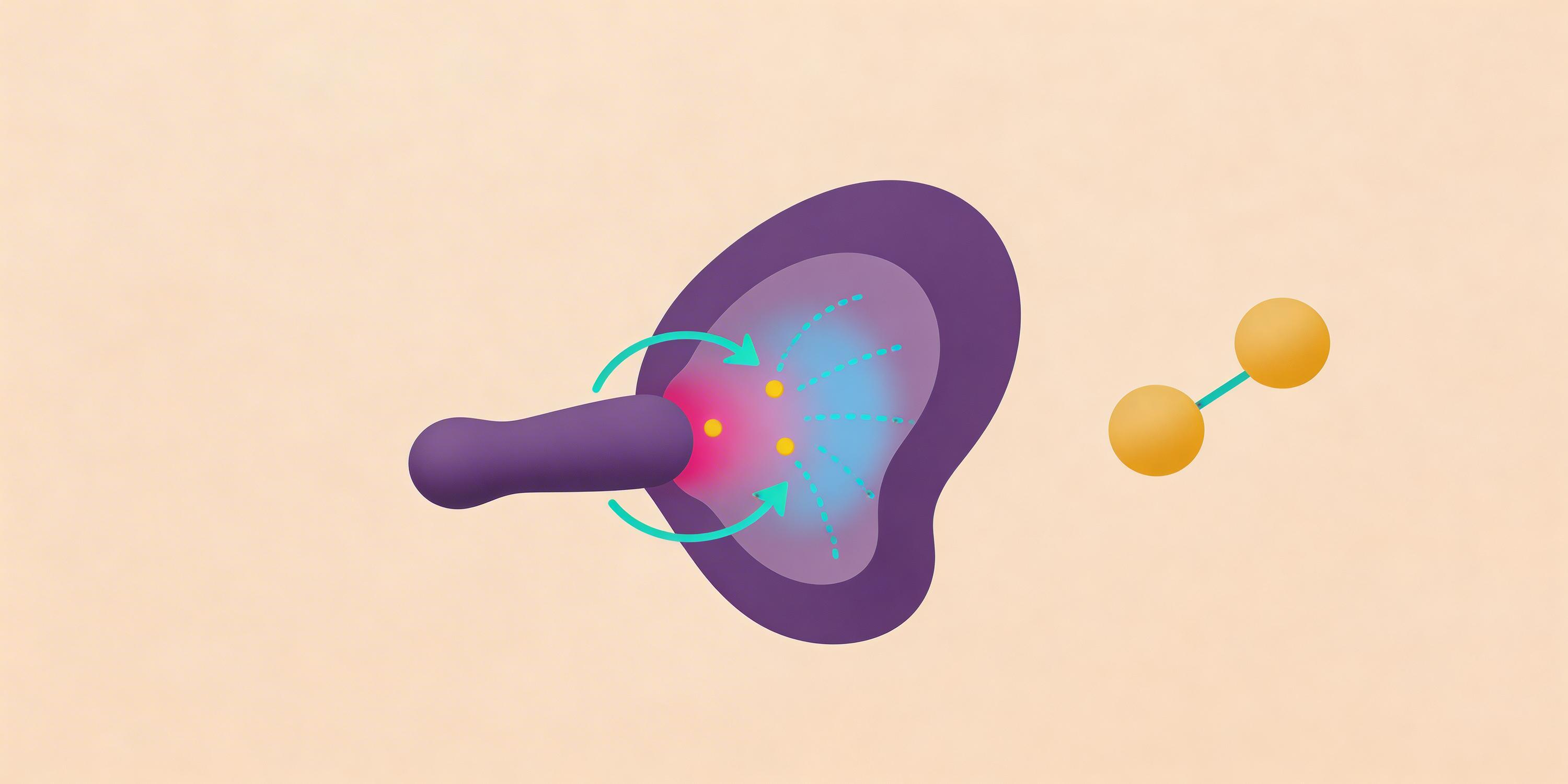 Plugs Anales en el Juego de Pareja: Confianza, Comunicación y Placer Mutuo 2 - Erotiks | Tienda erótica online