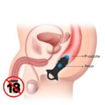 Plug Anal con Vibración